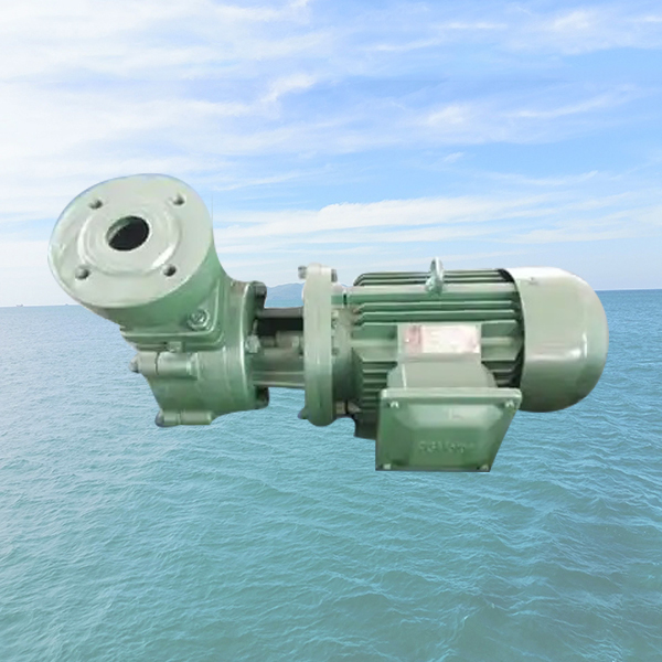 1W（Z) Series Marine (Self-priming) Vortex Pump